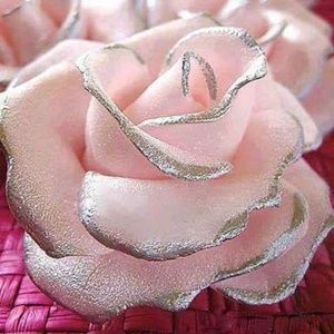 Meet your Posher, Eva